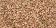 Background of many dry fir cone scales view from above