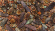 Many various colorful fir cones view from above