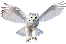 A White Owl Is Flying In The Air. Generative AI.