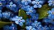 closeup fresh myosotis  forget-me-not with droplets of water background seamless generative AI 