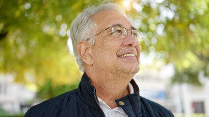 Poster - Middle age man with grey hair smiling confident looking up at park