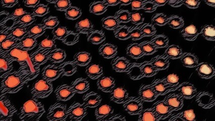 Aufkleber - Wavy texture of black and colored circular shapes on a black background. Motion. Technological pattern.