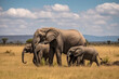 African Elephants family walking in the Savanna park, Animal wildlife habitat in the nature forest, beautiful of life, massive body part, largest mammal, with Generative AI.