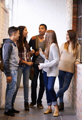 Aufkleber - University, conversation and people on campus talking for chatting, friendship and learning together. Education, scholarship and happy men and women students in school, academy and college hallway