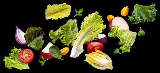 Wall Mural - Falling vegetables, salad of bell pepper, tomato and lettuce leaves on black background