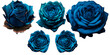 Beautiful roses isolated on a transparent background. Roses for a wreath. Blue roses. Magic flowers. Flowers on a transparent background. Flowers, elements for banners. Ai generative