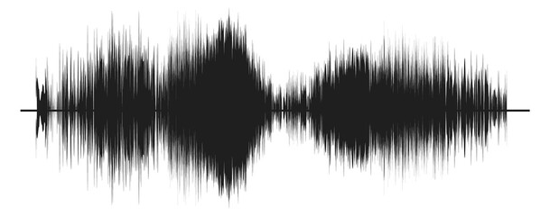 Wall Mural - Voice record. Black audio wave. Sound noise