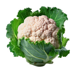 Sticker - Cauliflower Florets