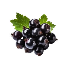 Canvas Print - Black currant isolated on white