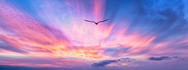 Wall Mural - Bird Flying Sunset Inspiration Hope Banner