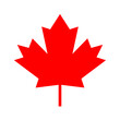 vector illustration of a canada maple leaf
