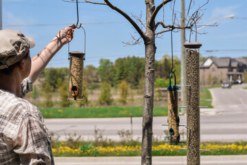 Woman is hanging bird feeders on tree branches