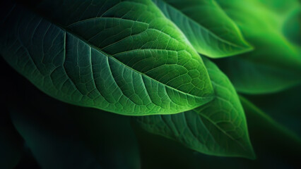 Abstract Natural Background