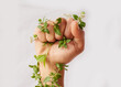 © Adene S/peopleimages.com - Woman hand, nature growth and fist for eco warrior, fight and revolution for sustainability protest. White background, studio and person with leaf and green plant in hands for environment rally