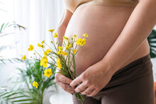 Pregnant Woman Holding Bunch Of Yellow Flowers At Home