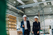 © Westend61 - Senior businessman discussing with smiling colleague in carpentry factory