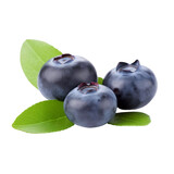 Fototapeta  - blueberries on white background
