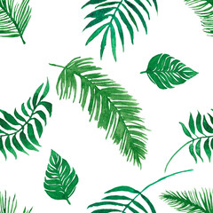 Tropic Pattern leaves png image
