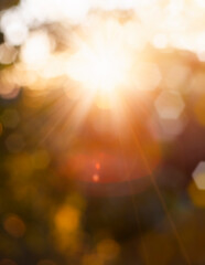Wall Mural - abstract bokeh background, defocused lights, natural background.