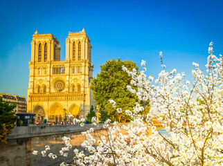 Poster - Notre Dame cathedral, Paris France