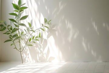 Wall Mural - Minimal abstract background for product presentation. Shadow of plant leaves and curtains, white wall and green plant. made with Generative AI