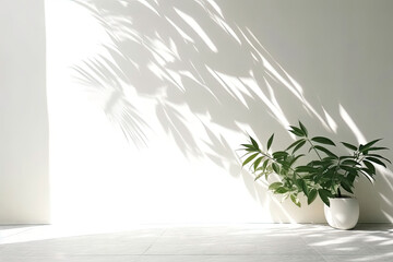 Minimal abstract background for product presentation. Shadow of plant leaves and curtains, white wall and green plant. made with Generative AI