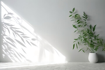 Wall Mural - Minimal abstract background for product presentation. Shadow of plant leaves and curtains, white wall and green plant. made with Generative AI