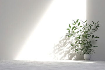 Wall Mural - Minimal abstract background for product presentation. Shadow of plant leaves and curtains, white wall and green plant. made with Generative AI