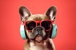 Cool dj dog listening to music with headphones on and sunglasses. Generative AI.