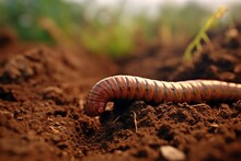 Worm Crawling On The Ground. Generative AI