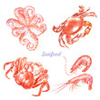 Seafood,  shrimps ,seafood illustration , crustacean , octopus, shrimp, watercolor crab , crabs , crustaceans, seafood , crawfish, watercolor, food illustrations