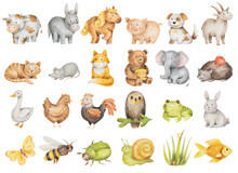 Cute Farm And Wild Animals, Insects. Big Watercolor Hand-drawn Set Of Different Animals Isolated On White Background. Children Illustrations