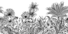 Seamless Horizontal Pattern Tropical Garden In Engraving Style. Anthurium, Aralia, Protea, Palm And Banana Leaves, Orchid, Liviston, Frieze, Sabal, Plumeria, Zantedeschia, Monstera, Strelitzia