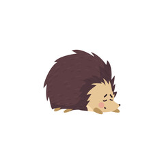 Wall Mural - Cute sleeping hedgehog funny character flat cartoon vector illustration isolated.