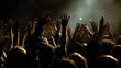 © Melinda Nagy - crowd with raised hands in front of stage lights