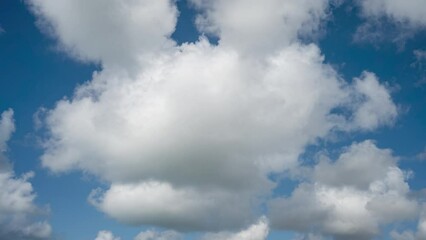 Wall Mural - Cloudscape Timelapse of white clouds moving on a blue sky. Daytime.