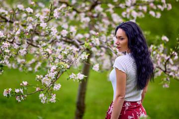 Wall Mural - portrait of a beautiful brunette woman in a blossoming apple orchard