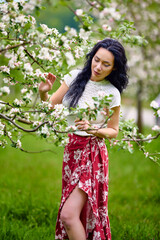 Wall Mural - portrait of a beautiful brunette woman in a blossoming apple orchard