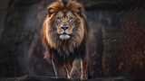 Fototapeta  - A lion on a rock in the forest