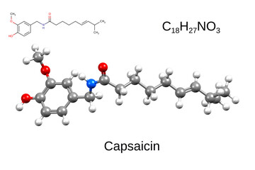 Wall Mural - Chemical formula, skeletal formula and 3D ball-and-stick model of capsaicin, an active component of chili pepper