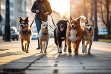 Walking The Pack/array Of Dogs, Being Walked By Single Person In The Background On City Sidewalk. AI Generated