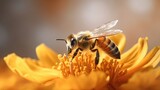 Honey bee on beautiful yellow flower AI generative 