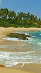 Wall Mural - beautiful landscape with sea waves on tropical beach and coconut palms. vertical video