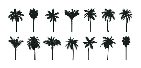 Poster - Palm trees silhouettes set. Various hand-drawn tropical palms collections. Vector illustrations.
