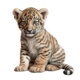 Fototapeta  - Uroczy mały tygrys, Ilustracja bez tła, png, wygenerowane przez AI