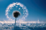 Fototapeta Dmuchawce - Biały kwiat dmuchawiec na niebieskim tle. Generative AI