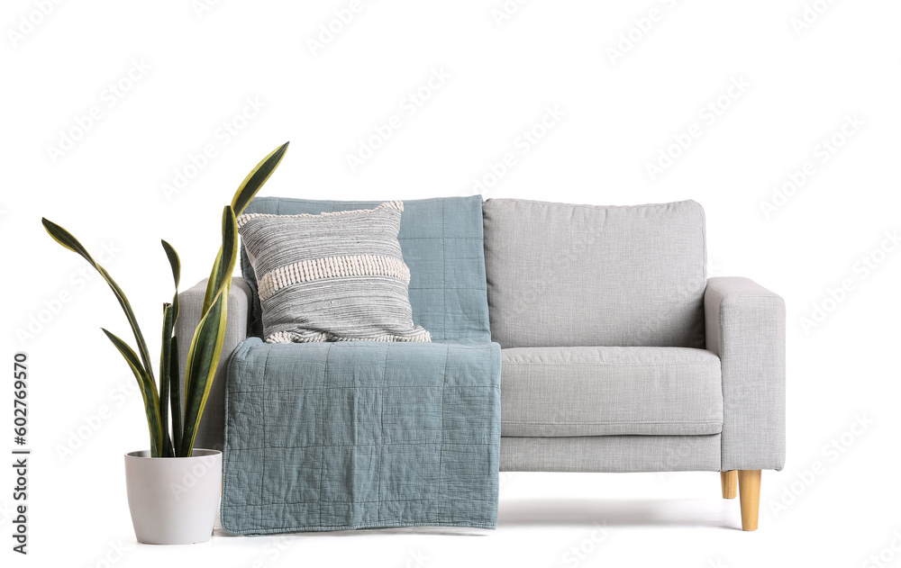 Cozy grey sofa with cushion and houseplant isolated on white background