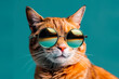 © ADDICTIVE STOCK - Generative AI illustration of adorable tabby ginger cat with round sunglasses looking away against blue background
