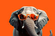 © ADDICTIVE STOCK - Generative AI illustration of wild gray elephant in trendy sunglasses against orange background