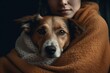 Cute dog being hugged by his human with a warm blanket. Generative AI
